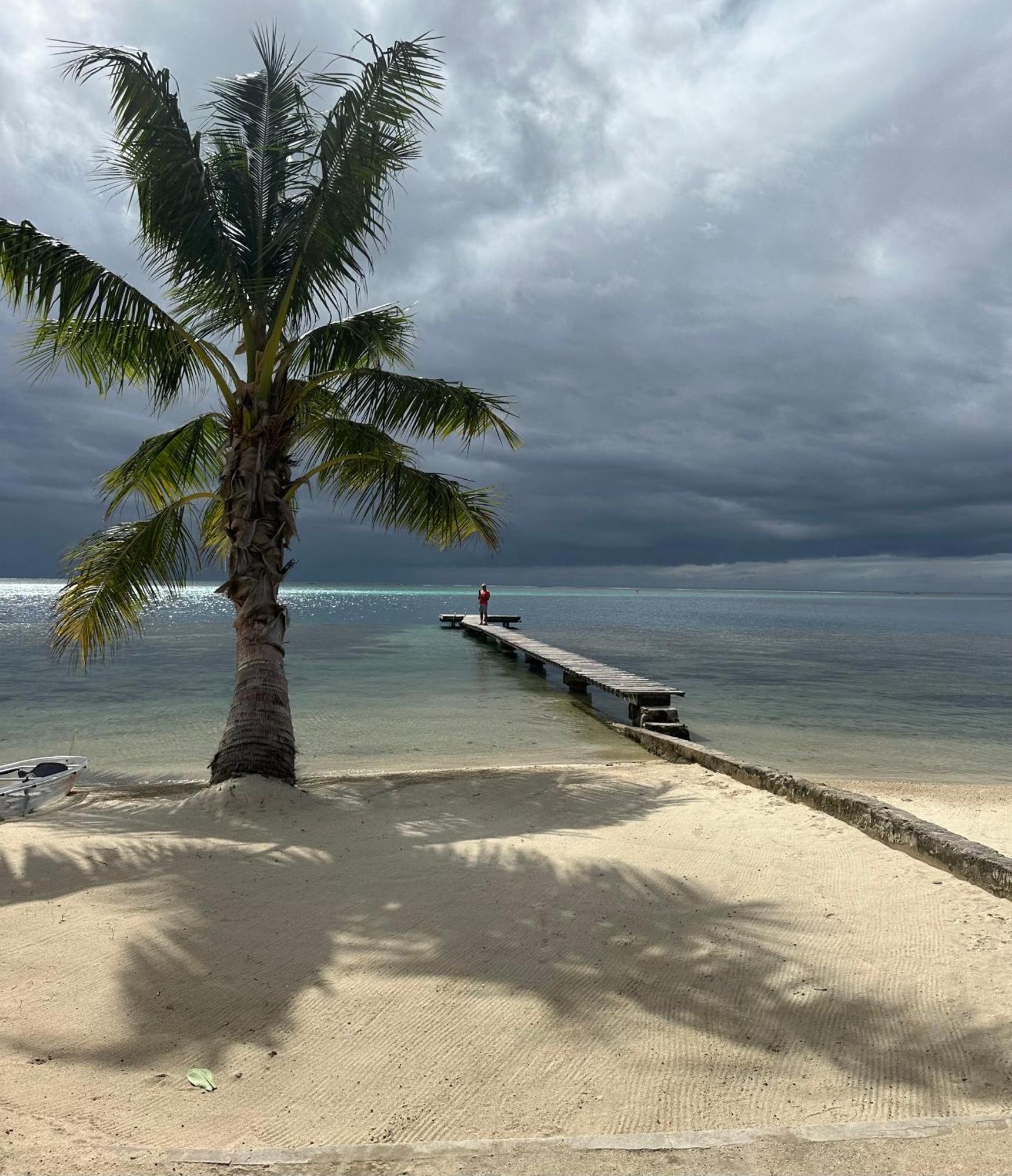 Chez Jay Moorea Beach House Villa Maharepa  Eksteriør billede